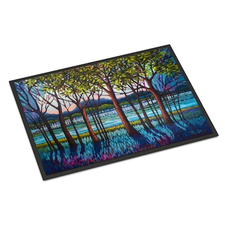Carolines Treasures 18 x 27 in. Tanzanite River Indoor or Outdoor Mat PPD3022MAT